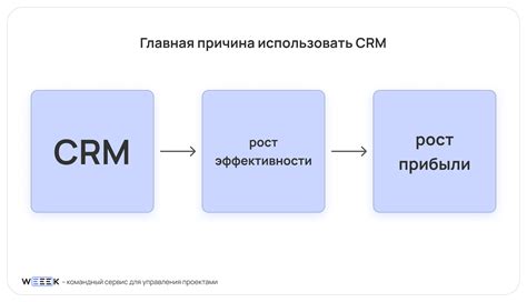 Эффективные CRM системы для роста вашего бизнеса