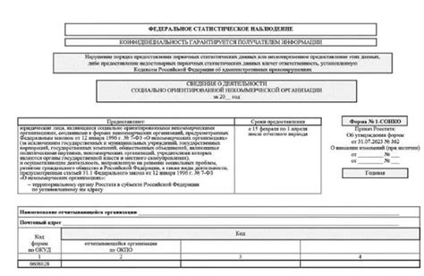 Новая форма 1-СОНКО: все, что нужно знать о бланке и сроках подачи
