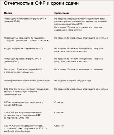 Проверка с СФР в 2026 году: новые методы, формы и важные дедлайны