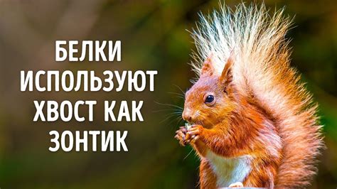 Самые интересные факты из разных сфер жизни, которые вас удивят