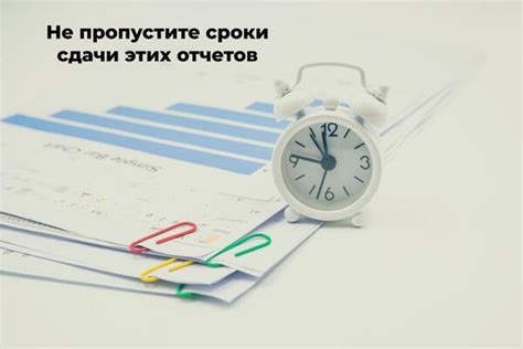 Сроки сдачи отчетов в фонды: важные даты для бизнеса